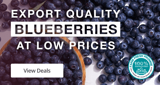 View Deals